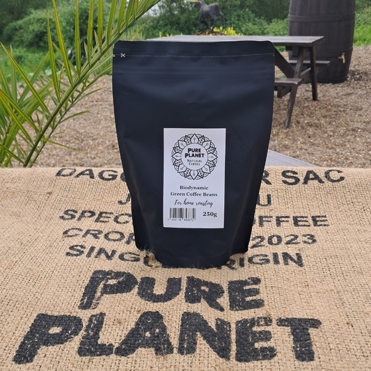Green Natural Coffee Beans 250g