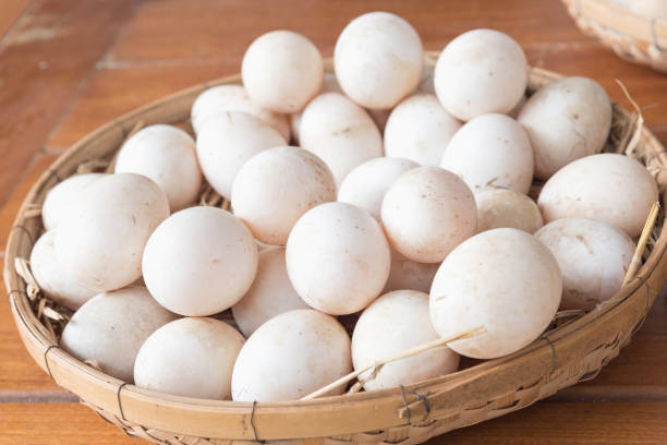 Fertilised Duck Eggs for Hatching - Mixed Breed